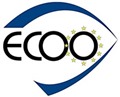 Hrvatsko drutvo optiara i optometrista : Online services for consumers and patients - guidance draft